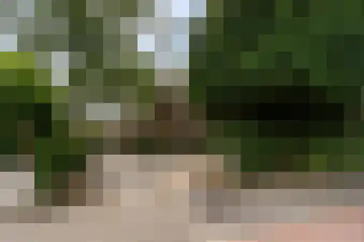 Johannes Geradtsweg 83 Hilversum thumbnail 31