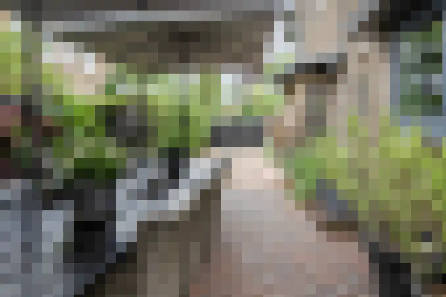 Johannes Geradtsweg 89 Hilversum thumbnail 44
