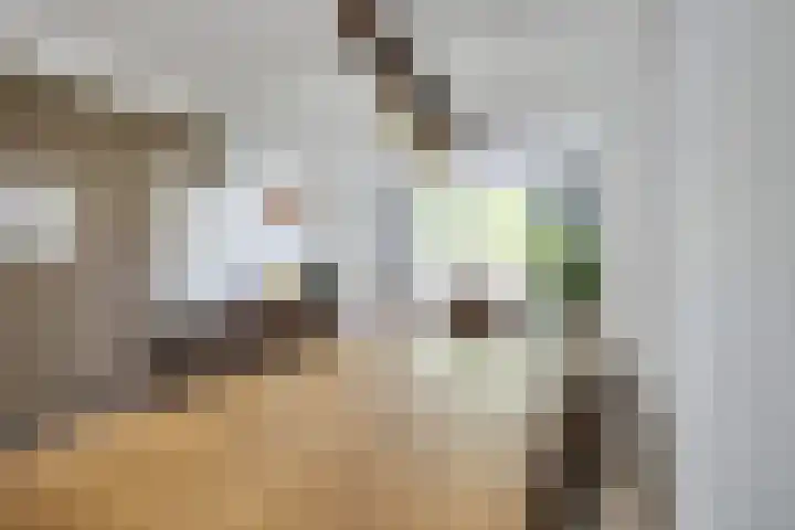 Johannes Gerobulusstraat 4 Utrecht thumbnail 14