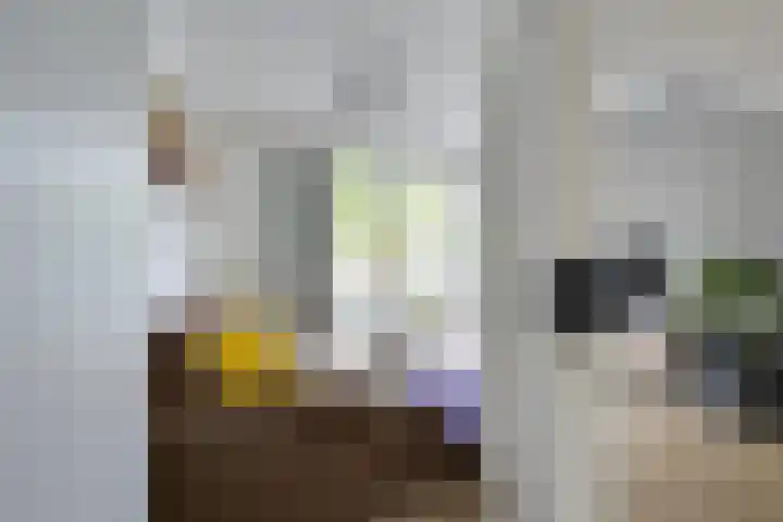 Johannes Gerobulusstraat 4 Utrecht thumbnail 15