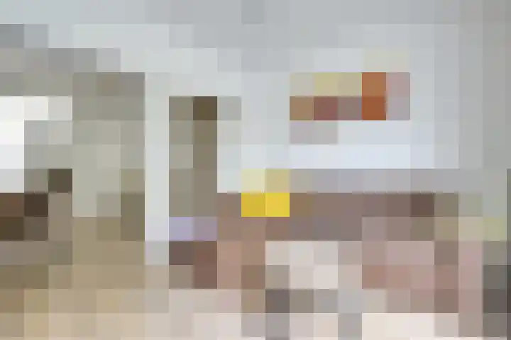 Johannes Gerobulusstraat 4 Utrecht thumbnail 18