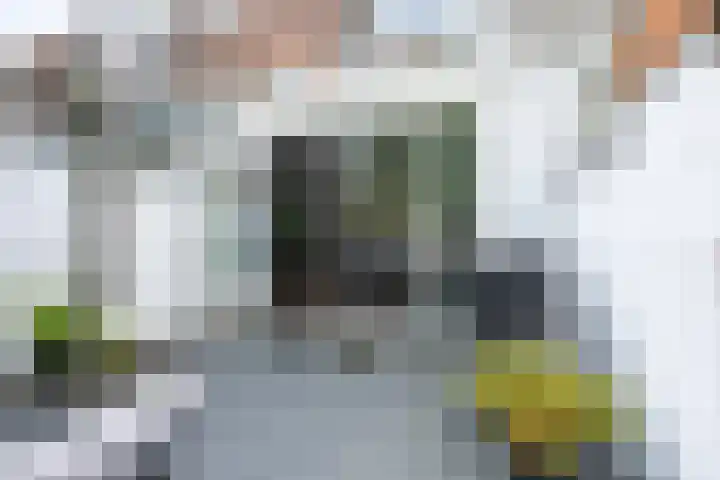 Johannes Gerobulusstraat 4 Utrecht thumbnail 24