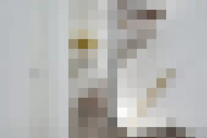 Johannes Gerobulusstraat 4 Utrecht thumbnail 38