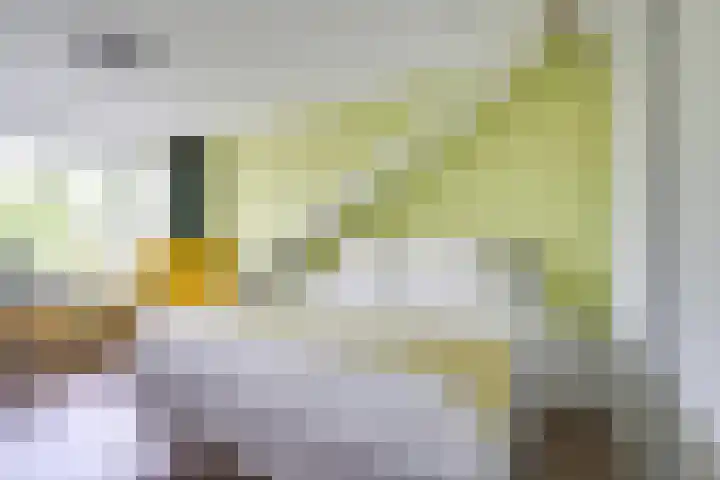 Johannes Gerobulusstraat 4 Utrecht thumbnail 41