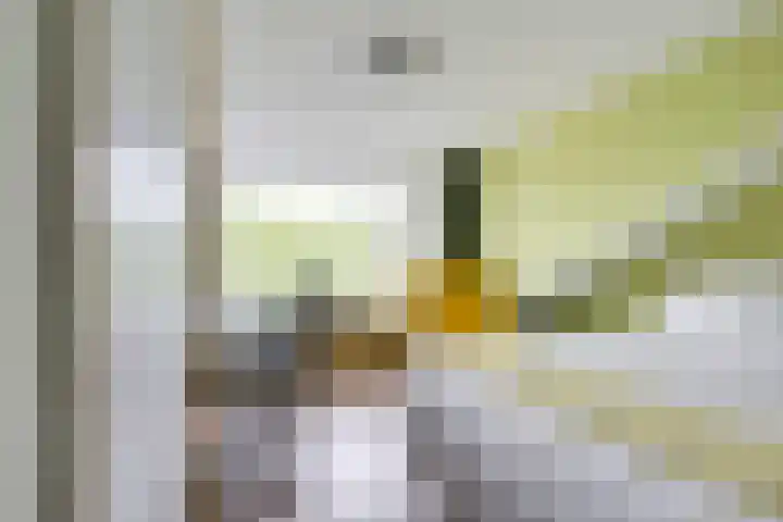 Johannes Gerobulusstraat 4 Utrecht thumbnail 43