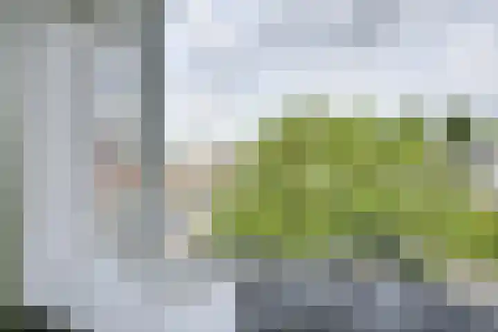 Johannes Gerobulusstraat 4 Utrecht thumbnail 5