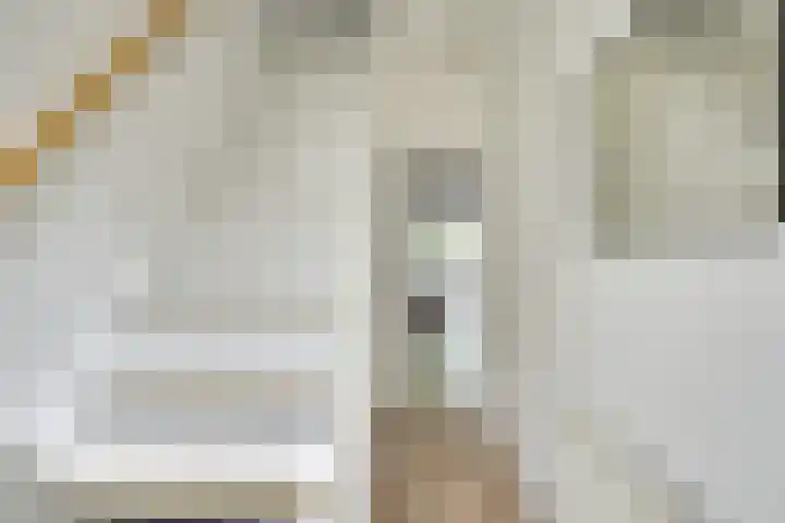Johannes Gerobulusstraat 4 Utrecht thumbnail 7