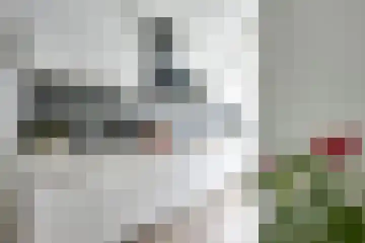 Johannes Gerobulusstraat 4 Utrecht thumbnail 9