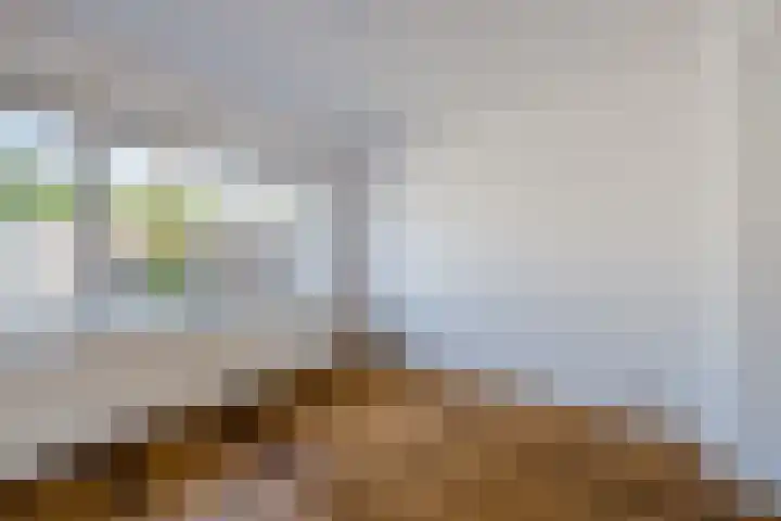 Johannes Heerstraat 13 Best thumbnail 11