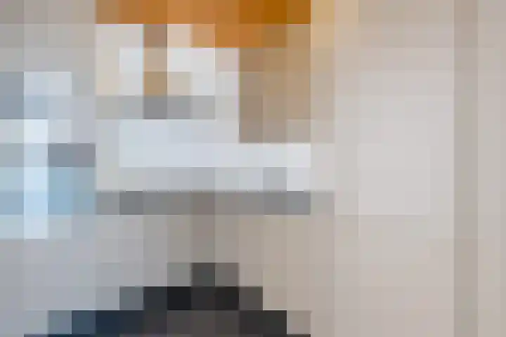 Johannes Heerstraat 13 Best thumbnail 13
