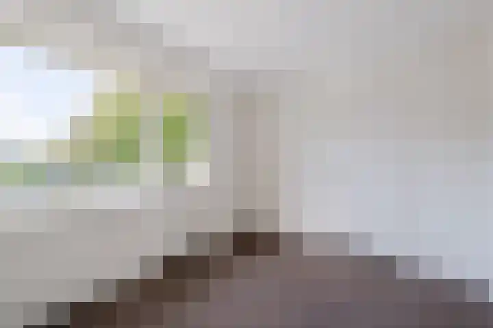 Johannes Heerstraat 13 Best thumbnail 20