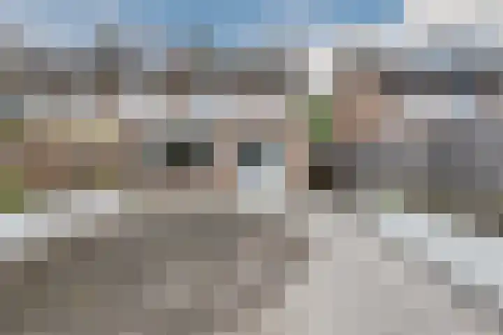Johannes Heerstraat 13 Best thumbnail 32