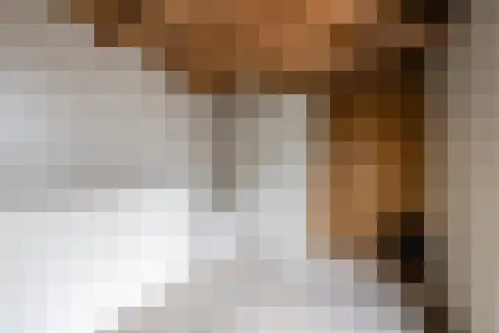 Johannes Heerstraat 13 Best thumbnail 35