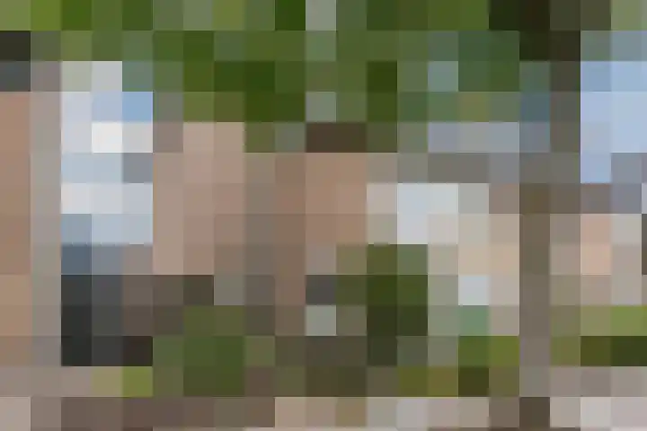 Johannes Heerstraat 13 Best thumbnail 37