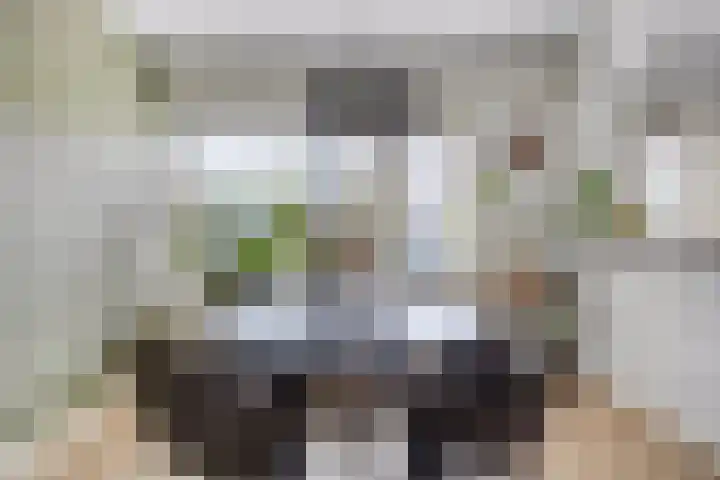 Johannes Heerstraat 16 Best thumbnail 10