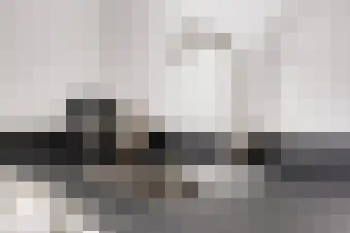 Johannes Heerstraat 16 Best thumbnail 17
