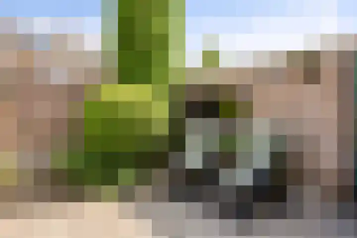 Johannes Heerstraat 16 Best thumbnail 34