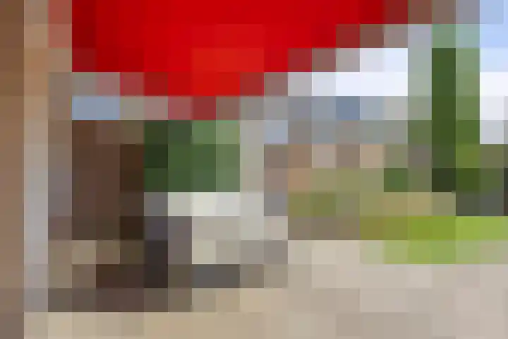 Johannes Heerstraat 16 Best thumbnail 36
