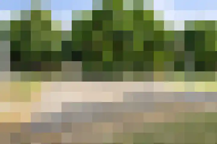 Johannes Heerstraat 16 Best thumbnail 39