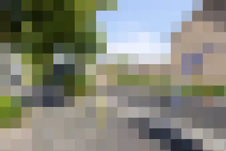Johannes Heerstraat 16 Best thumbnail 43