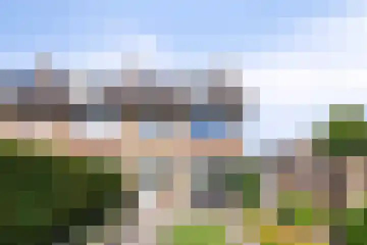 Johannes Heerstraat 16 Best thumbnail 46