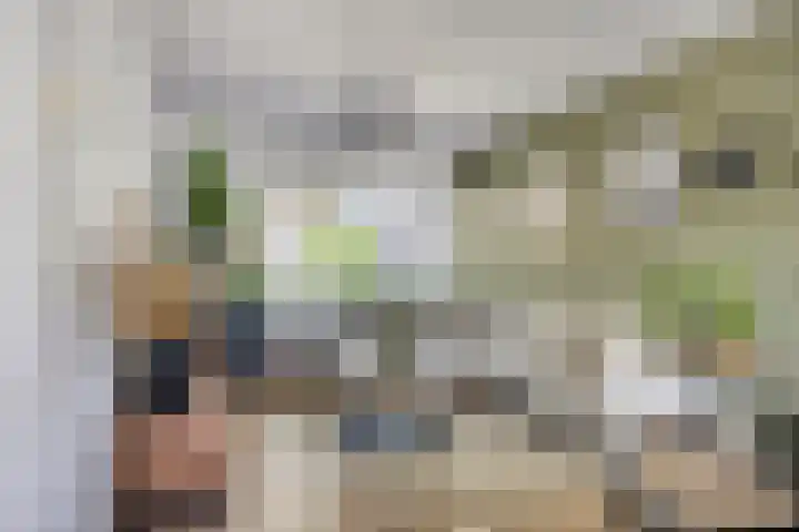 Johannes Heerstraat 16 Best thumbnail 8