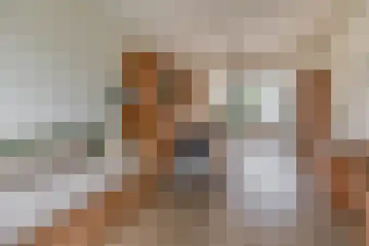 Johannes Heerstraat 27 Best thumbnail 11