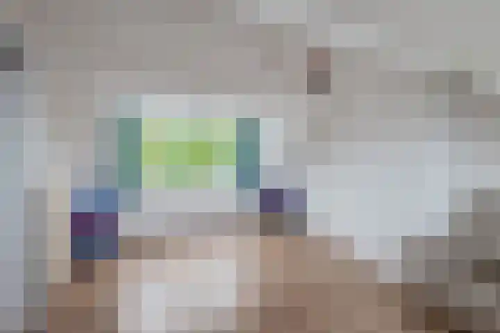 Johannes Heerstraat 27 Best thumbnail 31