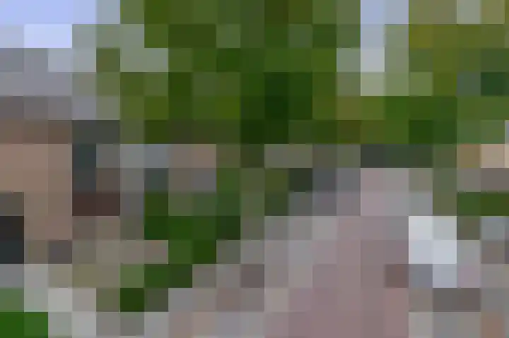 Johannes Heerstraat 27 Best thumbnail 8
