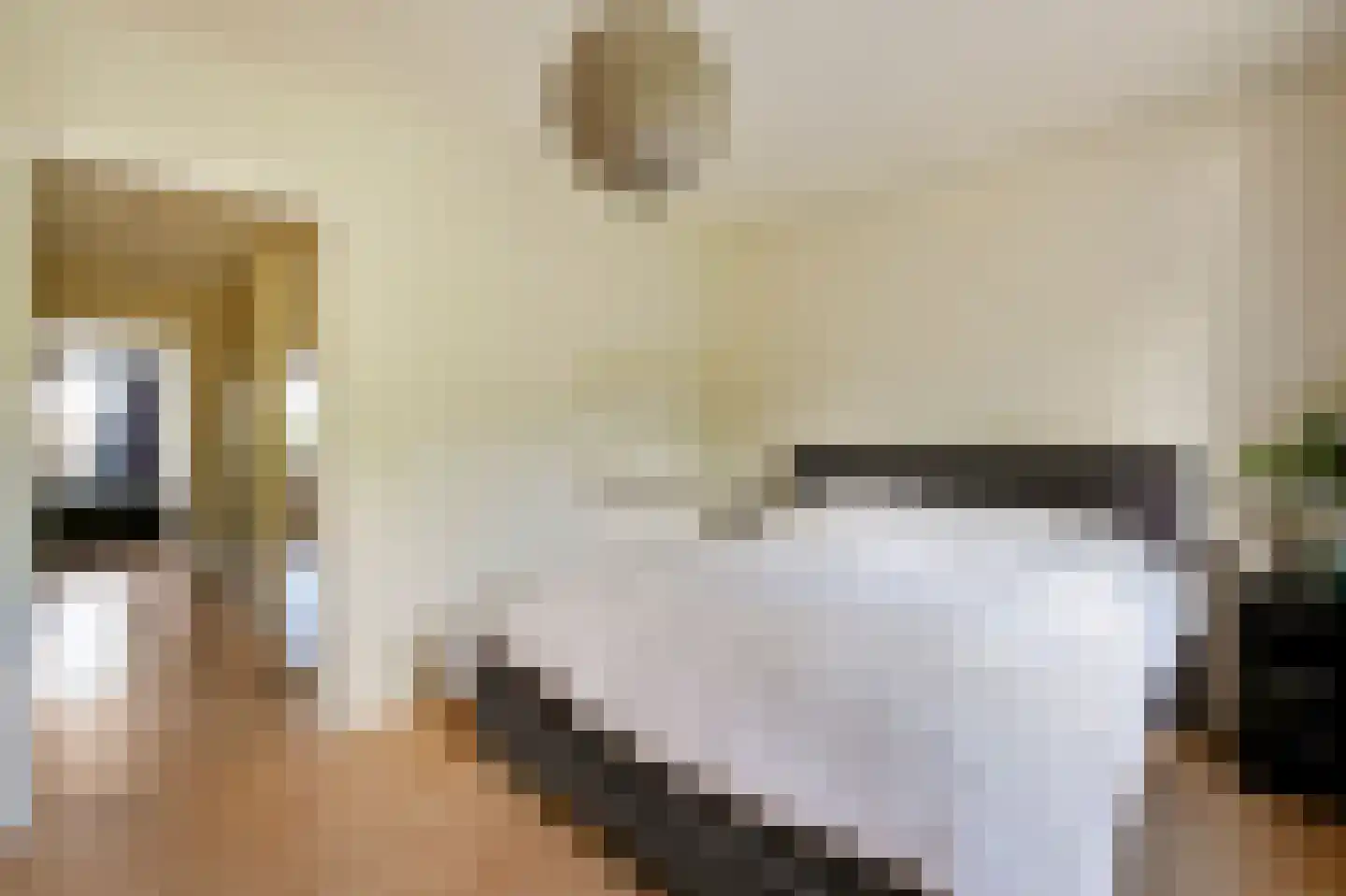 Johannes J. Glasweg 41 Amsterdam thumbnail 24