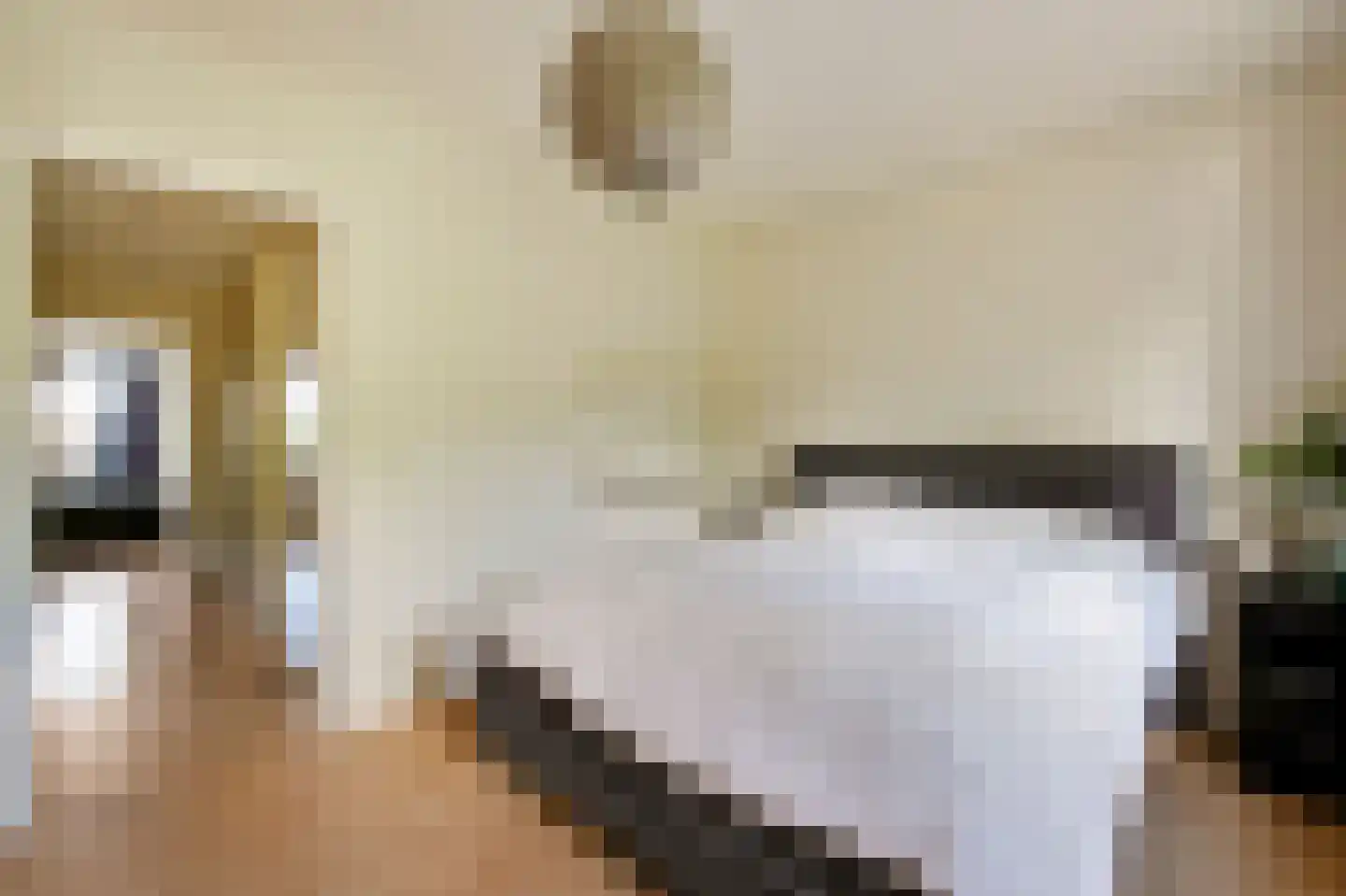 Johannes J. Glasweg 41 Amsterdam thumbnail 24