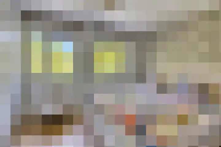 Johannes J. Glasweg 47 Amsterdam thumbnail 28