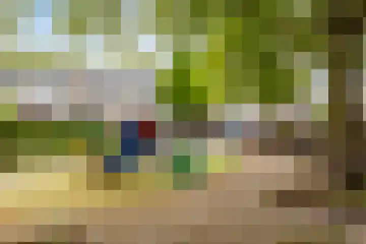 Johannes J. Glasweg 93 Amsterdam thumbnail 26