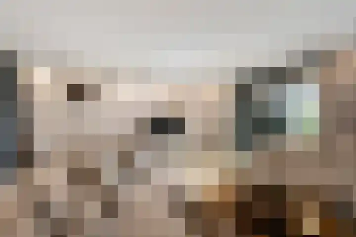 Johannes Jongejanlaan 7 Hekelingen thumbnail 10