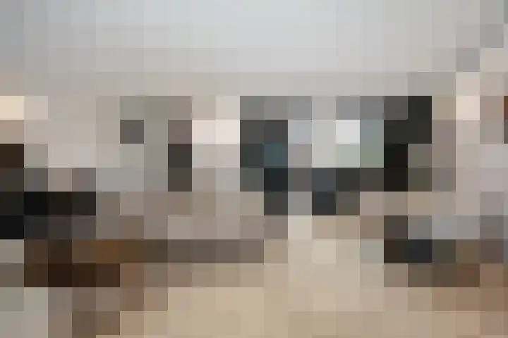 Johannes Jongejanlaan 7 Hekelingen thumbnail 11