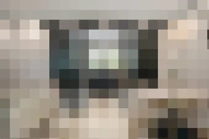 Johannes Jongejanlaan 7 Hekelingen thumbnail 12