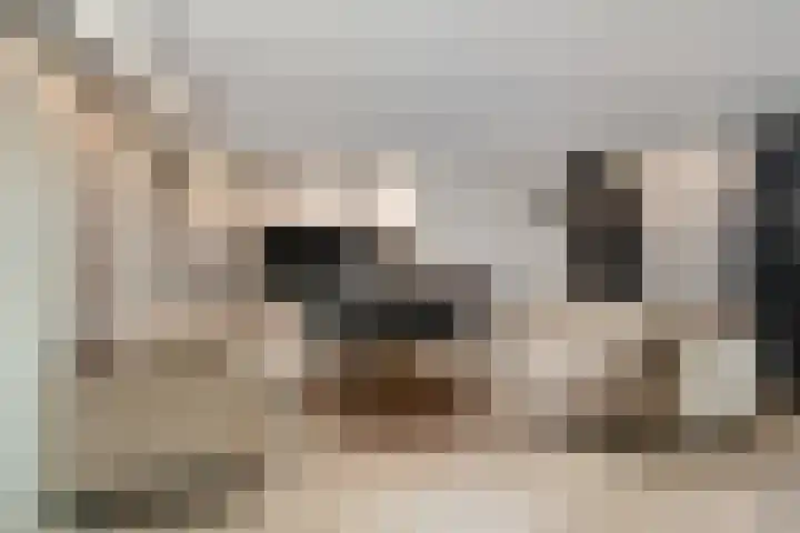 Johannes Jongejanlaan 7 Hekelingen thumbnail 14