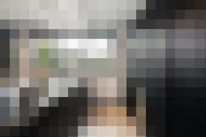 Johannes Jongejanlaan 7 Hekelingen thumbnail 16