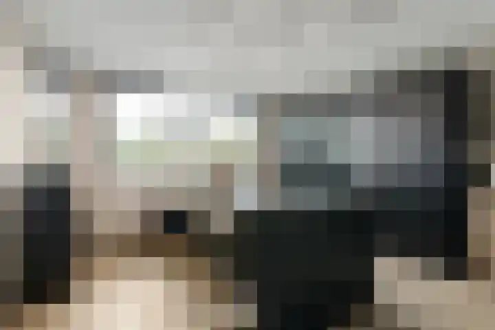 Johannes Jongejanlaan 7 Hekelingen thumbnail 17
