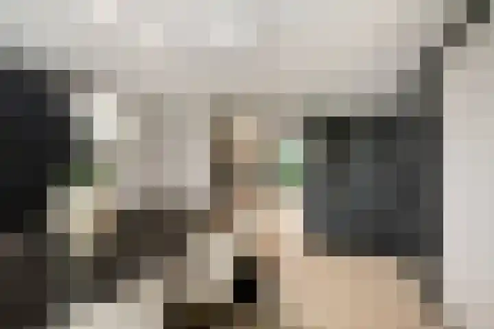 Johannes Jongejanlaan 7 Hekelingen thumbnail 19