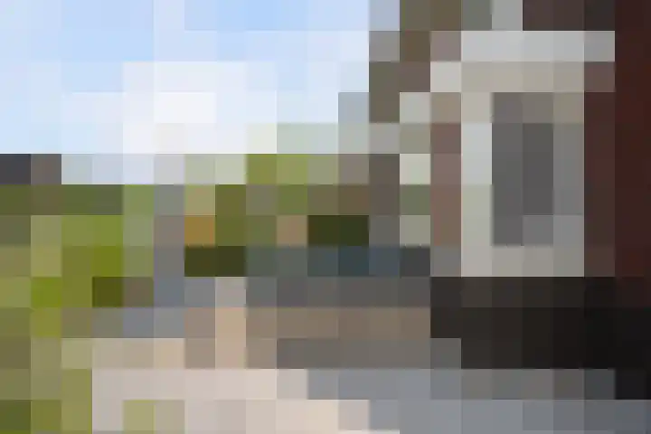 Johannes Jongejanlaan 7 Hekelingen thumbnail 21