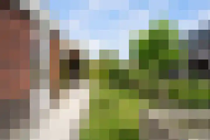 Johannes Jongejanlaan 7 Hekelingen thumbnail 22