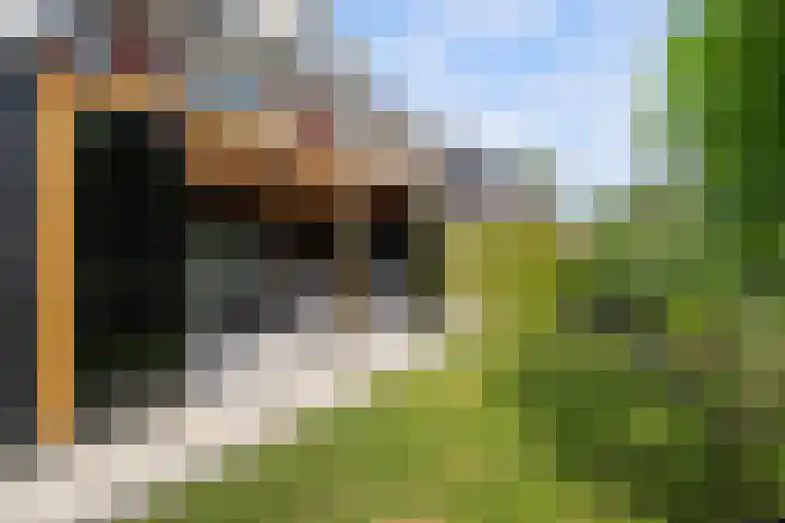 Johannes Jongejanlaan 7 Hekelingen thumbnail 23