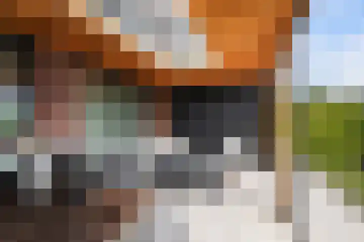 Johannes Jongejanlaan 7 Hekelingen thumbnail 25