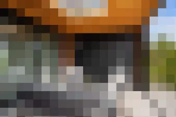 Johannes Jongejanlaan 7 Hekelingen thumbnail 26