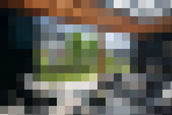 Johannes Jongejanlaan 7 Hekelingen thumbnail 27