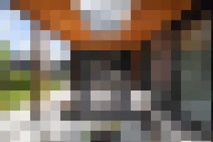 Johannes Jongejanlaan 7 Hekelingen thumbnail 28