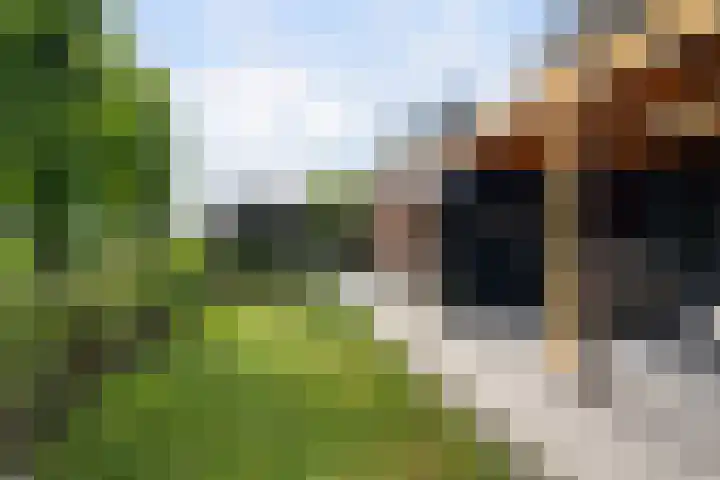Johannes Jongejanlaan 7 Hekelingen thumbnail 29