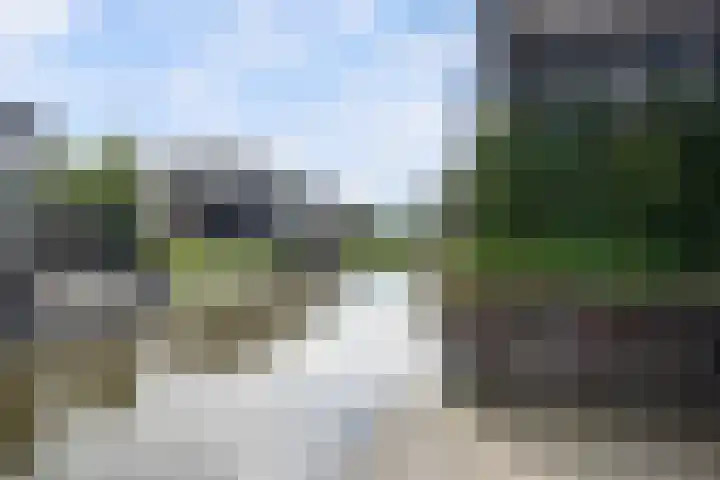 Johannes Jongejanlaan 7 Hekelingen thumbnail 31