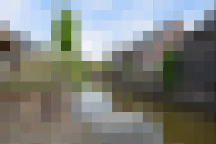 Johannes Jongejanlaan 7 Hekelingen thumbnail 32